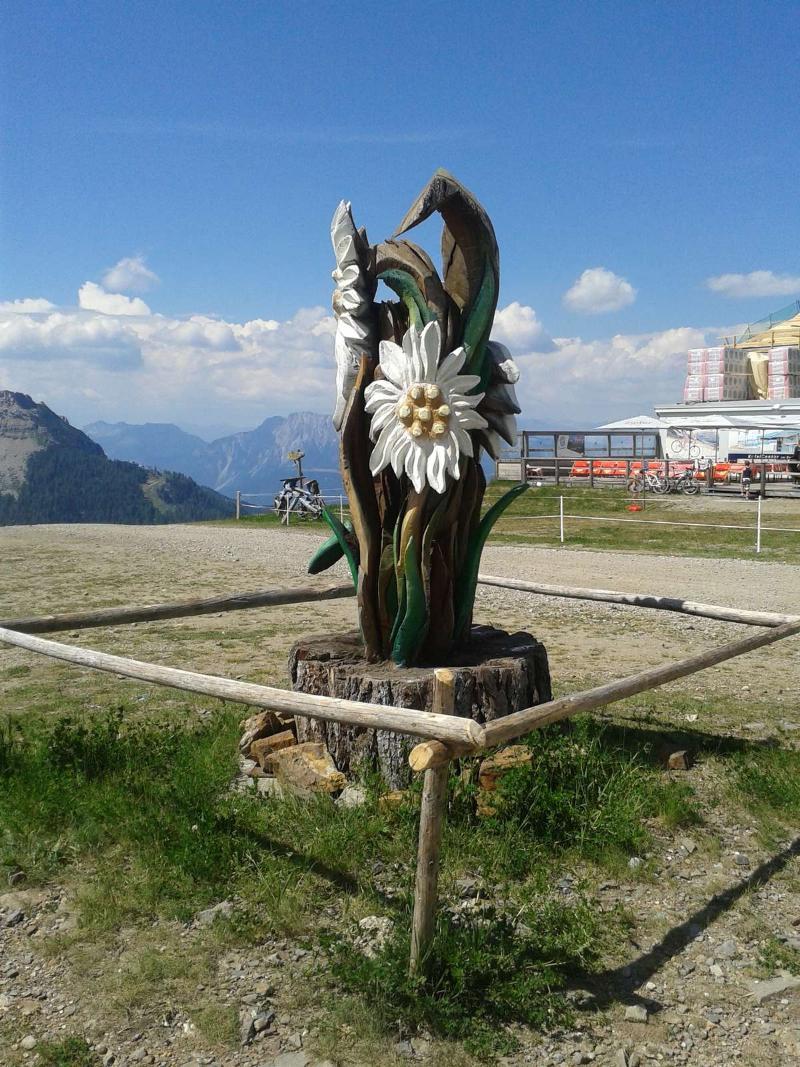 Alpenhaeuser Marcius Sonnenalpe Nassfeld Buitenkant foto